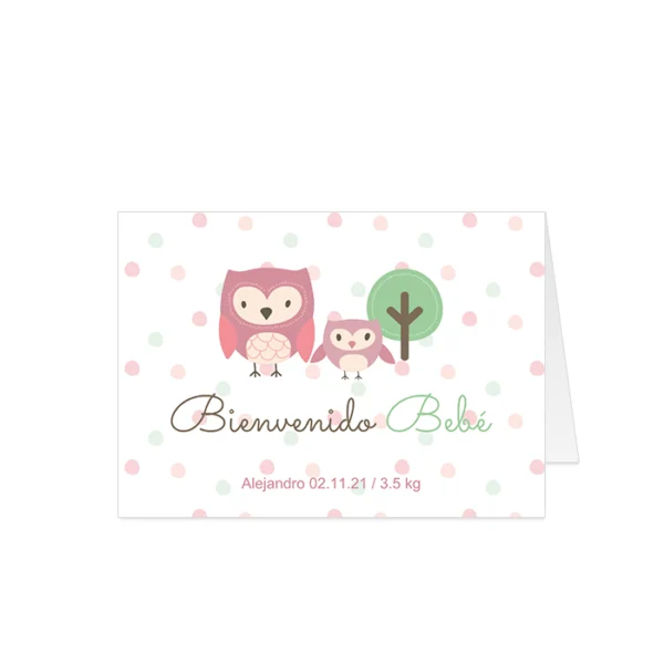 Tarjetas · Búho ¡Bienvenido Bebé!